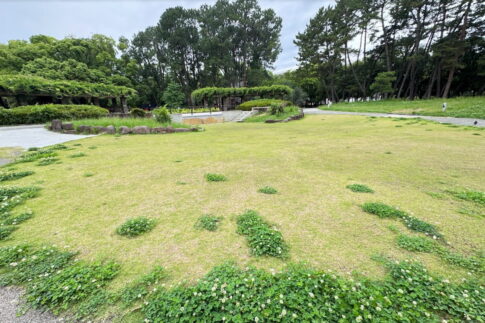 長居公園「郷土の森」のベンチんとこにある芝生広場「犬禁止」がなくなってた。