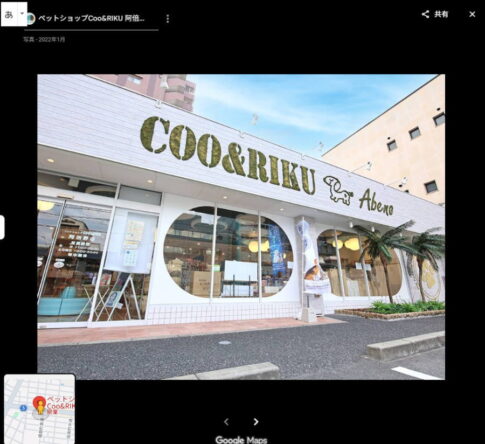 播磨町「ペットショップCoo&RIKU 阿倍野店」が閉店したみたい。3月29日でクローズ