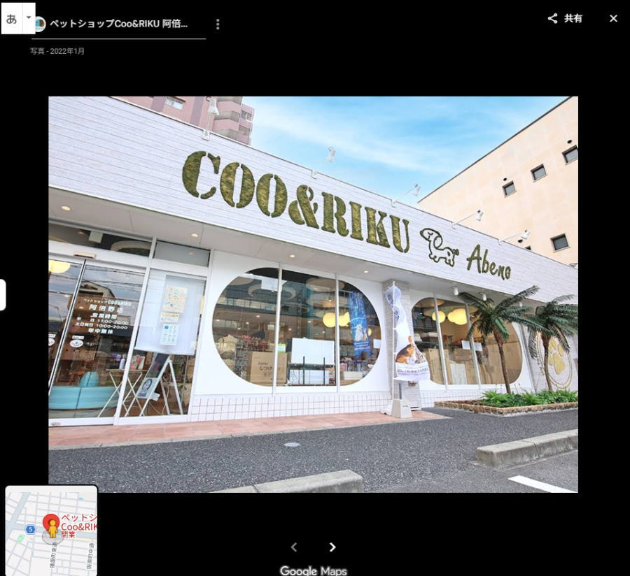 播磨町「ペットショップCoo&RIKU 阿倍野店」が閉店したみたい。3月29日でクローズ