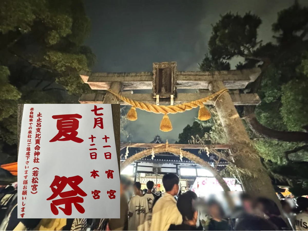 若松神社 夏祭り(止止呂支比売命神社)2026年7月11日12日