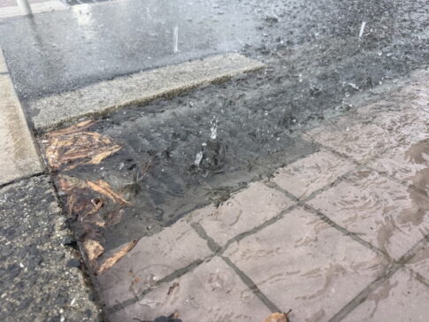 今日の夕方、ちょっと間の大雨でもめちゃ水溜まってた