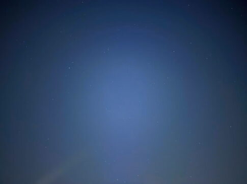 何きょう星めっちゃ多い