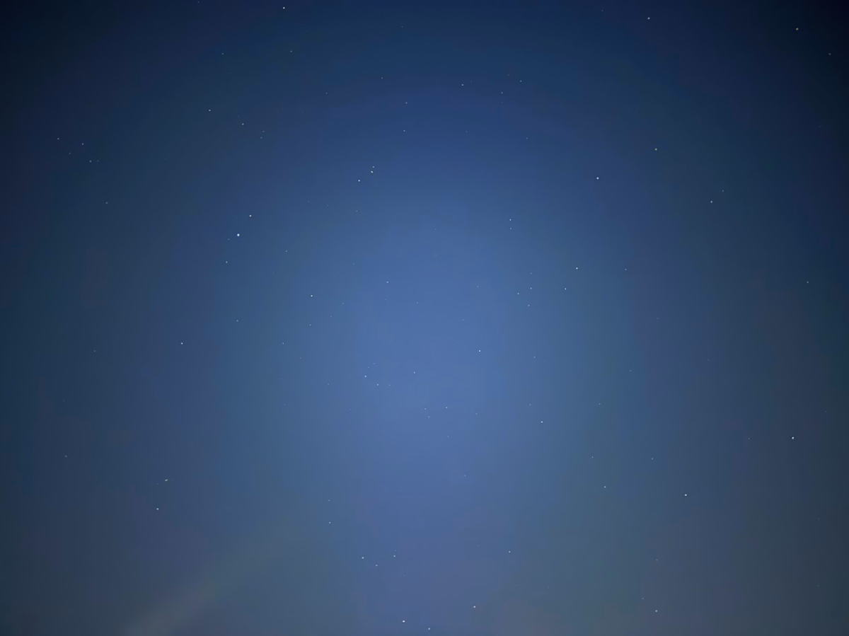 何きょう星めっちゃ多い