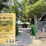 第3回 神社でマルシェ「 生根の杜」10月24日にあるみたい。